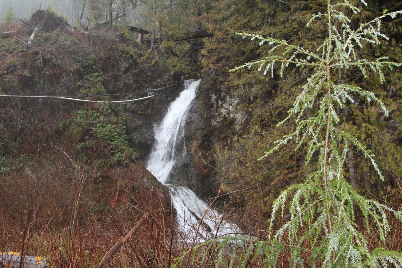 Tilby'S Rainbow Cottage Port Renfrew Eksteriør billede