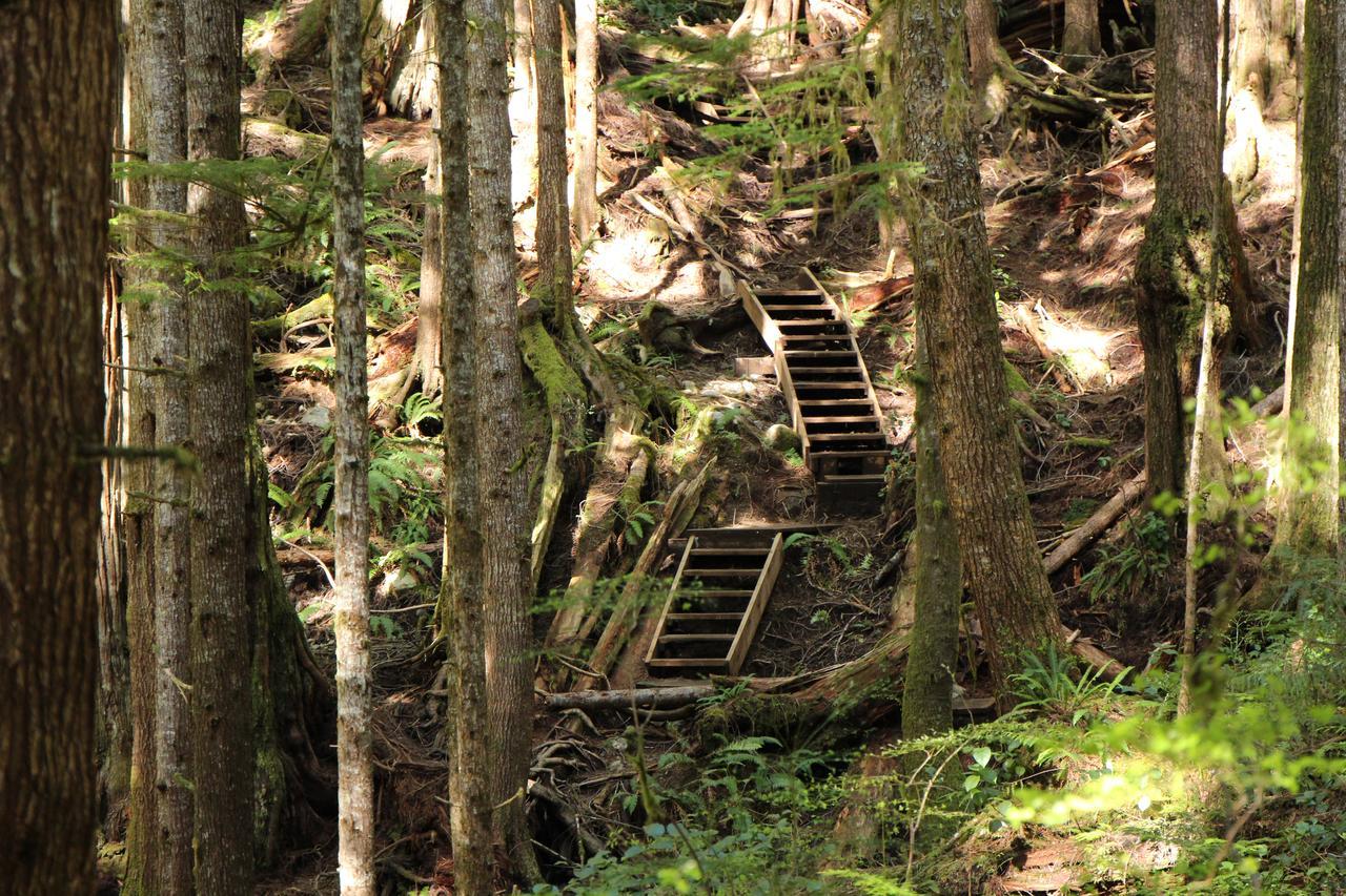 Tilby'S Rainbow Cottage Port Renfrew Eksteriør billede